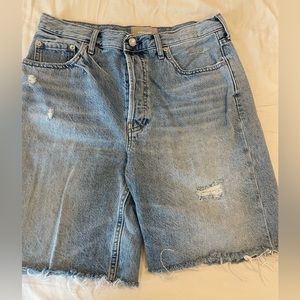 Everlane Cheeky Long Short 29